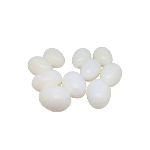 Eurital natural nest egg made of solid plastic, 1 piece, for pigeons - Animals & Pet Supplies > Pet Supplies > Bird Supplies > Bird Cage Accessories