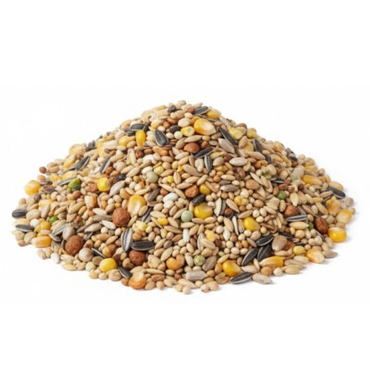 EURITAL ZUCHT & MAUSER - BUDGET - 25kg