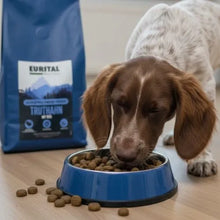 Eurital Eurital Basic Choice - Truthahn mit Reis - Animals & Pet Supplies > Pet Supplies > Dog Supplies > Dog Food