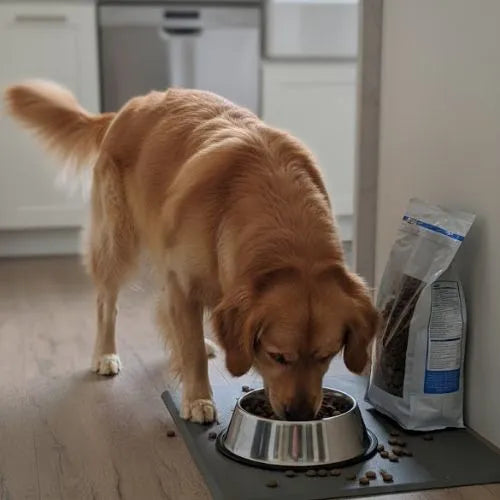 Eurital Eurital Dog Choice- Schwein mit Süßkartoffel und Apfel - Animals & Pet Supplies > Pet Supplies > Dog Supplies > Dog Food