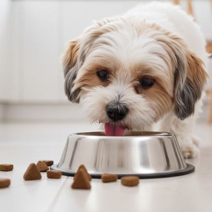 Eurital Wolf Choice - Schottischer Lachs