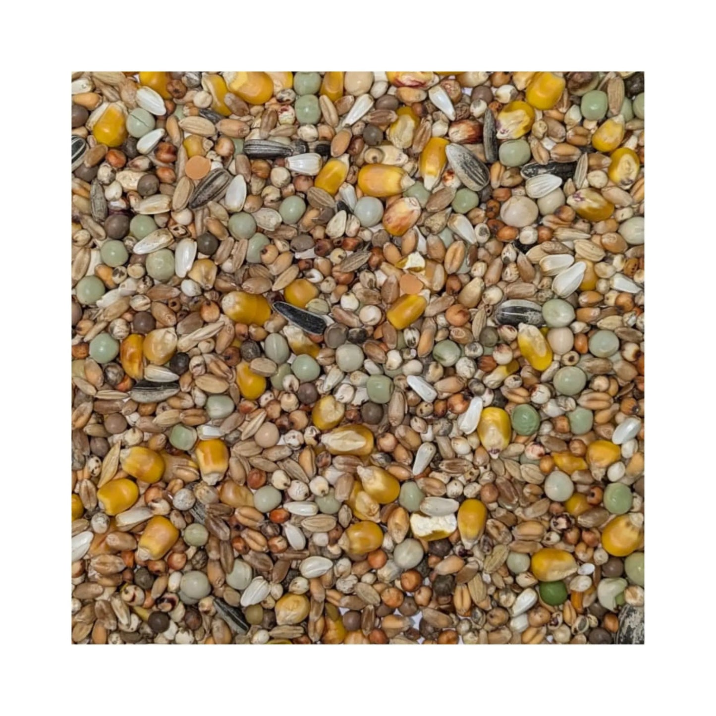 Eurital FooFine Rassetauben Vital ohne Mais Premiumfutter 20kg - Animals & Pet Supplies > Pet Supplies > Bird Supplies > Bird Food Einzelfuttermittel