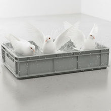 FooFine Badesalz 1 kg