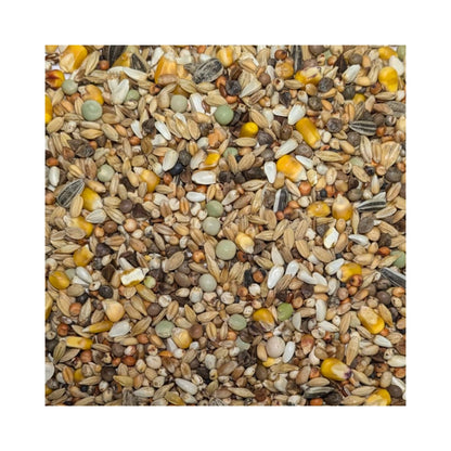 FooFine Usbeken Vital Rassetaubenfutter Premium 20kg