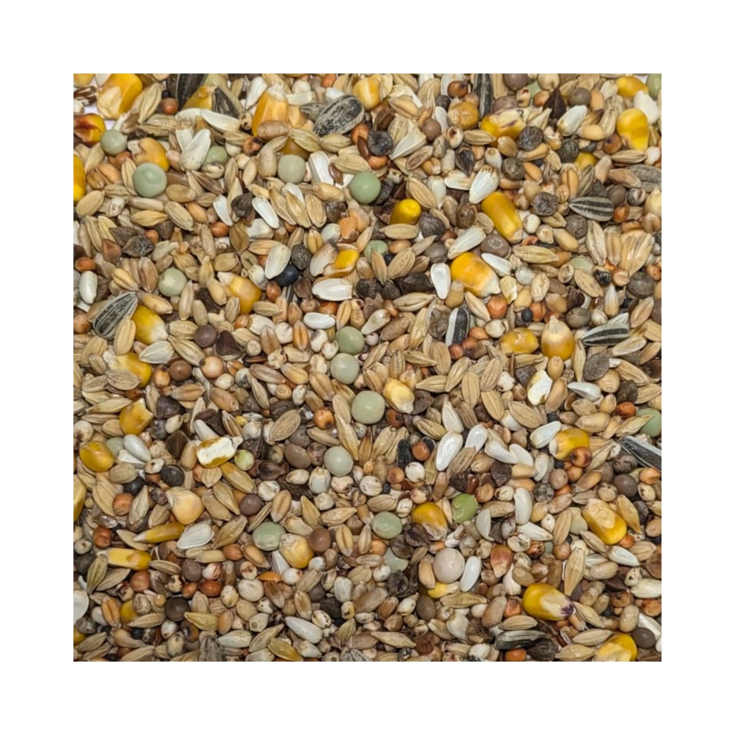 Eurital FooFine Usbeken Vital Rassetaubenfutter Premium 20kg - Animals & Pet Supplies > Pet Supplies > Bird Supplies > Bird Food Einzelfuttermittel