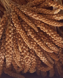 Eurital Französische Kolbenhirse rot, 500 g 