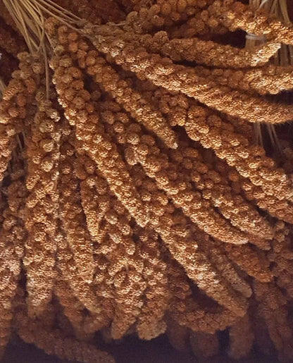 Eurital Eurital Französische Kolbenhirse rot, 2 kg - Animals & Pet Supplies > Pet Supplies > Bird Supplies > Bird Food