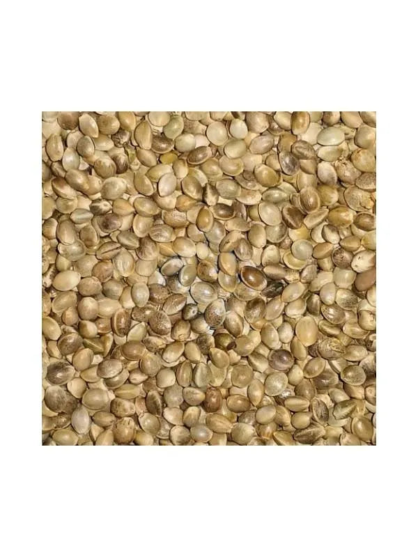 Eurital Eurital Futter Hanf 2,5 kg - Animals & Pet Supplies > Pet Supplies > Bird Supplies > Bird Food