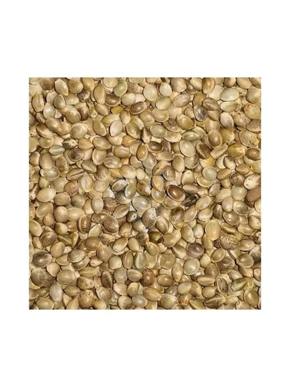 Eurital Eurital Futter Hanf 5kg - Animals & Pet Supplies > Pet Supplies > Bird Supplies > Bird Food