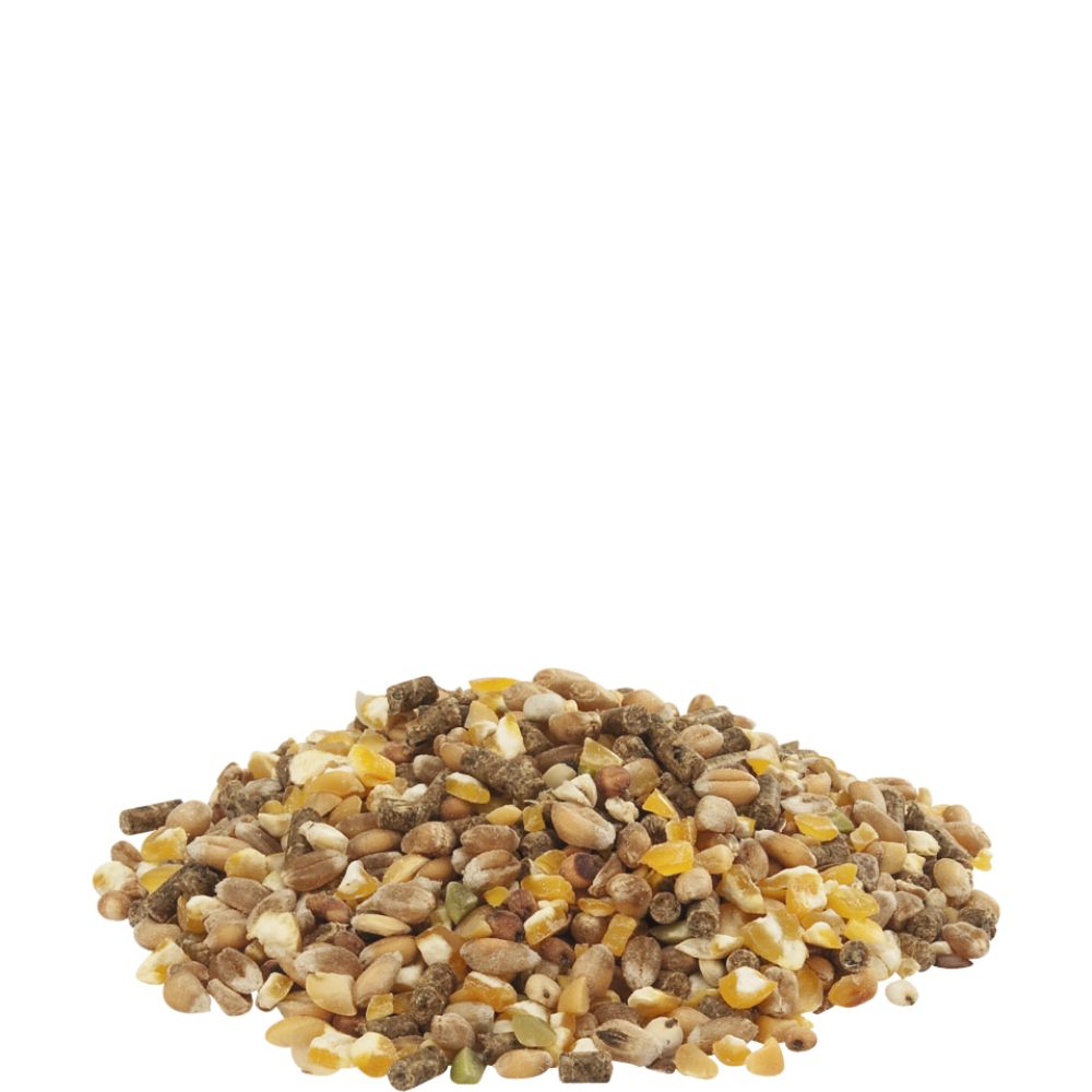 Versele–Laga Countrys Best Gold 4 Mix 20kg