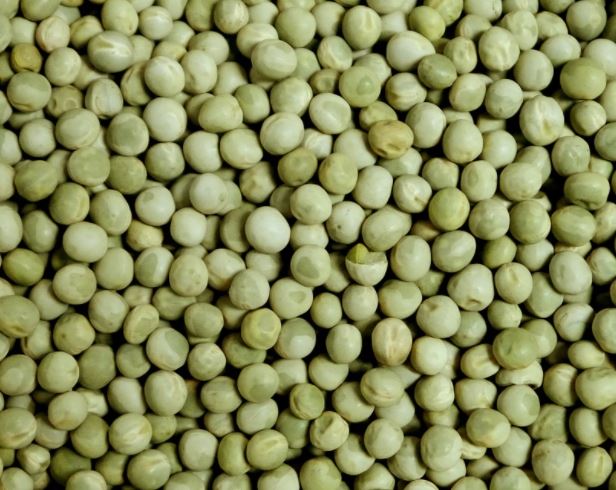 Eurital Grüne Erbsen 2,5kg