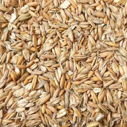 Eurital Eurital gequetschter Hafer 5 kg - Animals & Pet Supplies > Pet Supplies > Bird Supplies > Bird Food