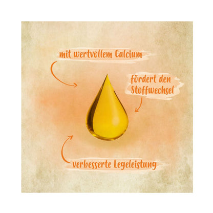 Ida Plus GoldenEgg 200 ml