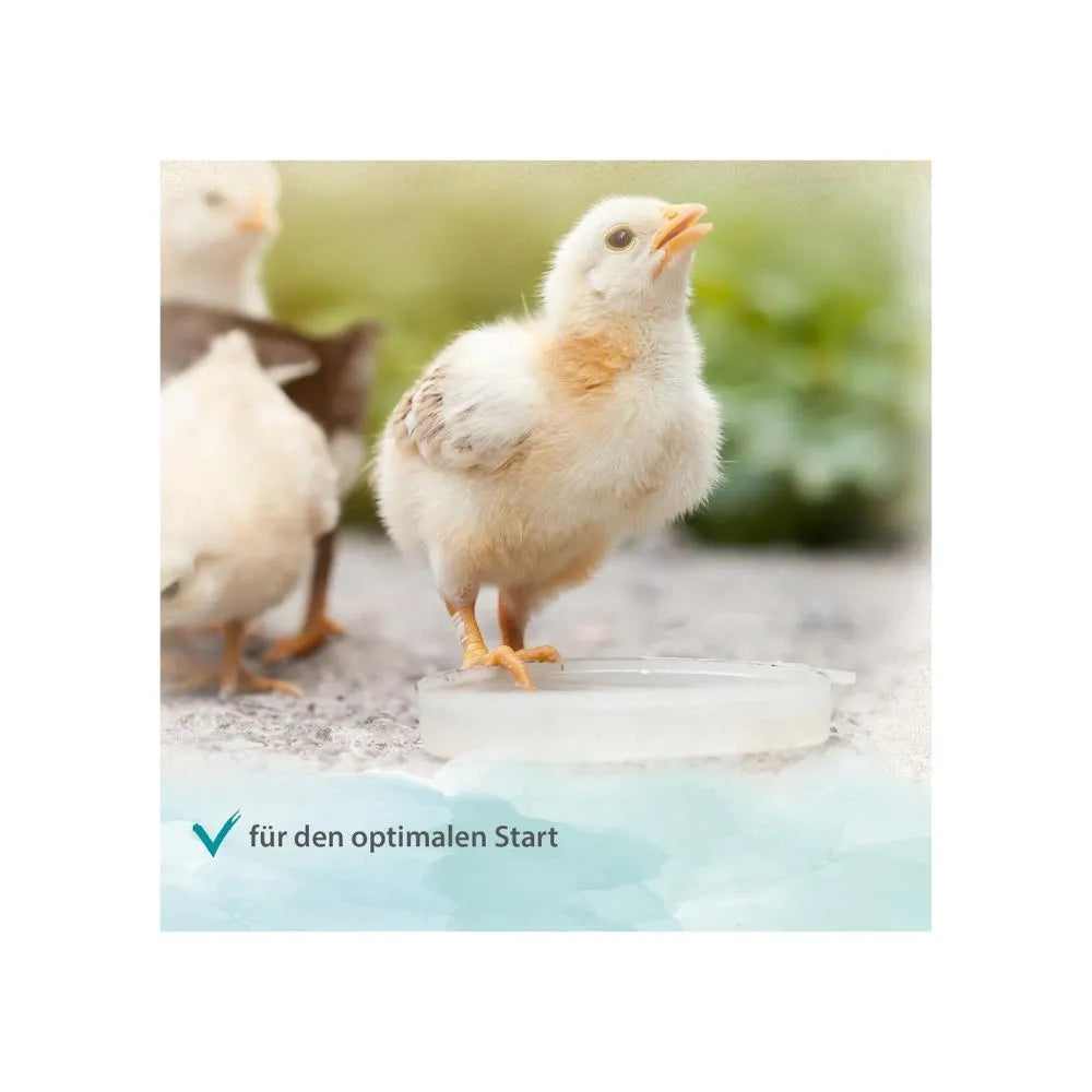 Ida Plus Ida Plus ProBiotic 180g - Business & Industrial > Agriculture > Animal Husbandry > Livestock Feed > Chicken Feed Ergänzungsfuttermittel