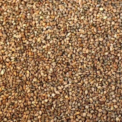 Eurital Eurital Japan Hirse - Animals & Pet Supplies > Pet Supplies > Bird Supplies > Bird Food Einzelfuttermittel