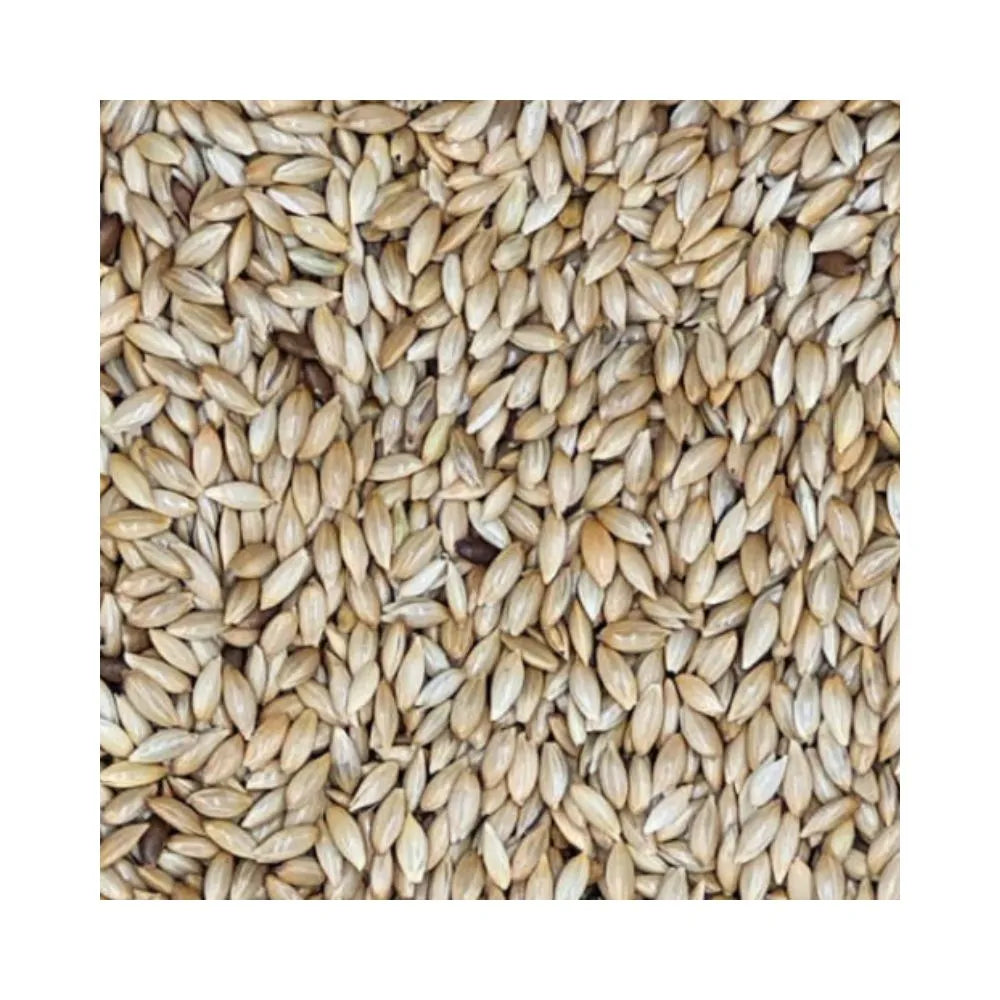 Eurital Eurital Kanariensaat 2,5 kg - Animals & Pet Supplies > Pet Supplies > Bird Supplies > Bird Food