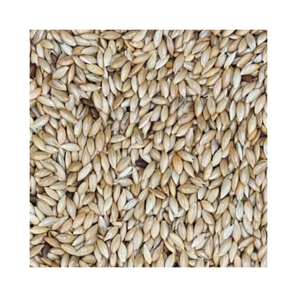 Eurital Eurital Kanariensaat 5 kg - Animals & Pet Supplies > Pet Supplies > Bird Supplies > Bird Food