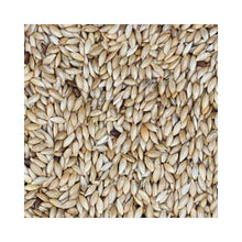 Eurital Kanariensaat 5 kg