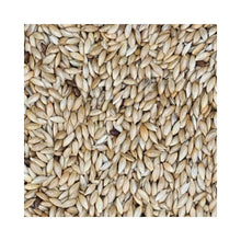 Eurital Eurital Kanariensaat 5 kg - Animals & Pet Supplies > Pet Supplies > Bird Supplies > Bird Food