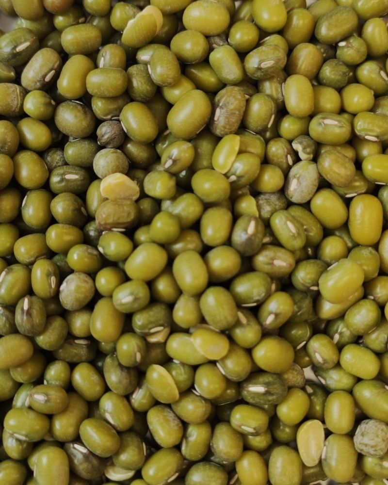 Eurital Katjangbohnen 5 kg