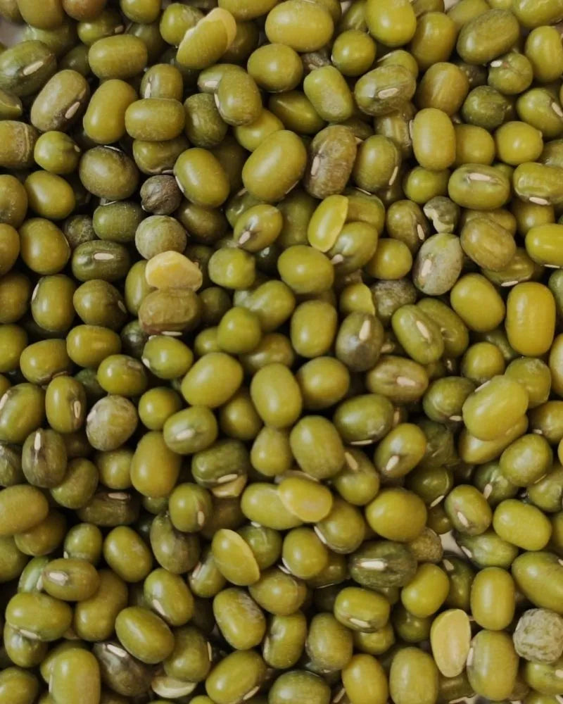 Eurital Eurital Katjangbohnen 5 kg - Animals & Pet Supplies > Pet Supplies > Bird Supplies > Bird Food