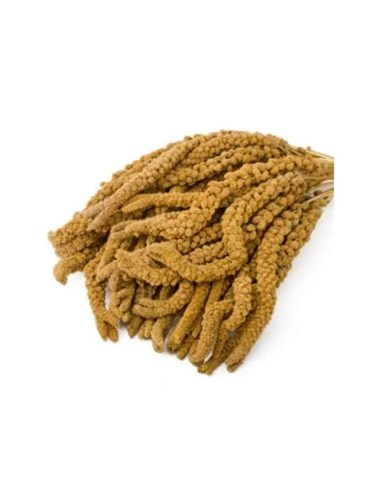 Eurital Eurital yellow French millet spray, 2 kg - Animals & Pet Supplies > Pet Supplies > Bird Supplies > Bird Food