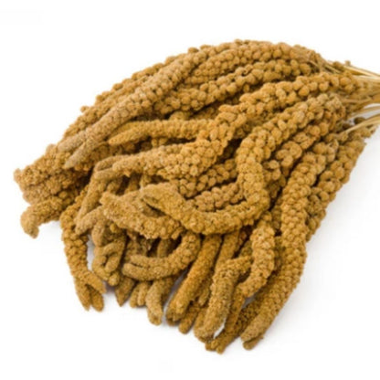 Eurital Kolbenhirse gelb, 5kg