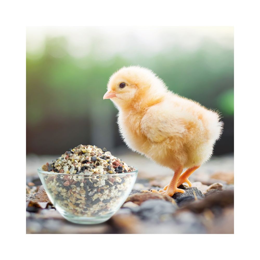 Ida Plus Mineral Grit Mix 5 kg