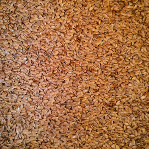 Eurital Leinsamen braun 5 kg