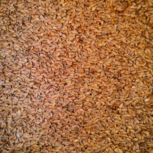 Eurital Leinsamen braun 2,5 kg