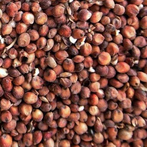 Eurital Milokorn Rot 5 kg