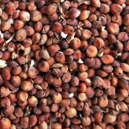 Eurital Eurital Milokorn Rot 5 kg - Animals & Pet Supplies > Pet Supplies > Bird Supplies > Bird Food