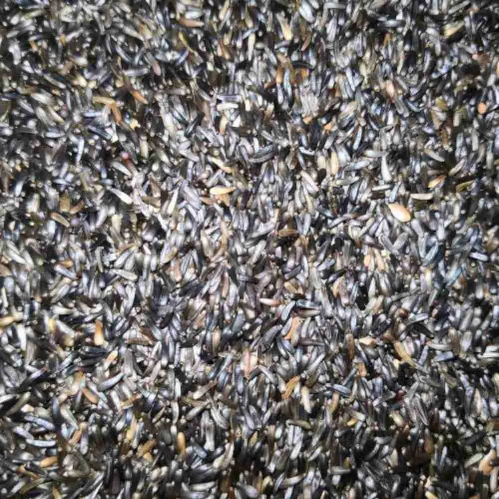 Eurital Eurital Nigersaat Einzelfutter Ölreich Vogelfutter - Animals & Pet Supplies > Pet Supplies > Bird Supplies > Bird Food Einzelfuttermittel