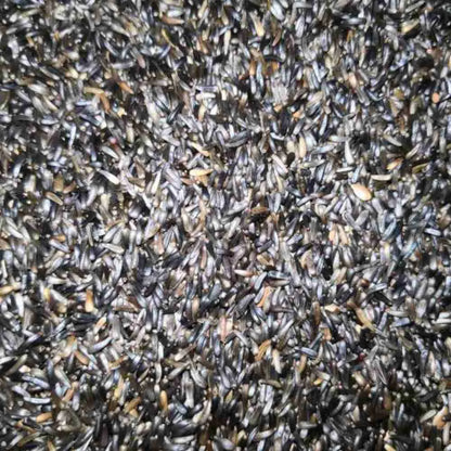 Eurital Eurital Nigersaat Einzelfutter Ölreich Vogelfutter - Animals & Pet Supplies > Pet Supplies > Bird Supplies > Bird Food Einzelfuttermittel