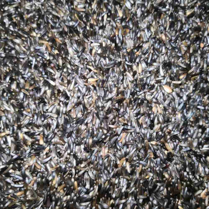 Eurital Nigersaat Einzelfutter Ölreich Vogelfutter