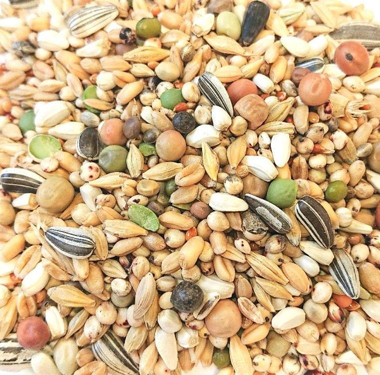 Eurital Taubenfutter für alle Rassen 10 kg ohne Mais