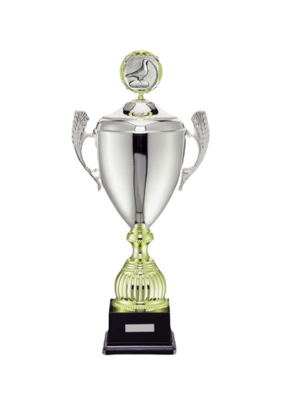 Eurital Eurital Pokal 5561 Silber Gold 32 cm mit Taubenemblem - Arts & Entertainment > Party & Celebration > Trophies & Awards > Trophies