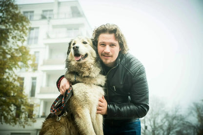 MyPetClub High Protein