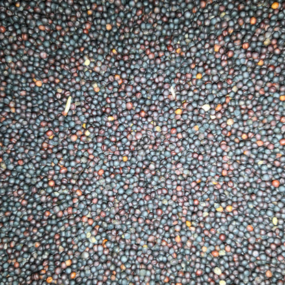 Eurital Raps / Rapssaat / Rapssamen schwarz 2,5 kg