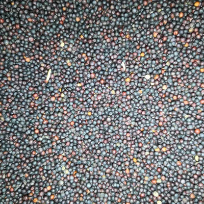 Eurital Eurital Raps / Rapssaat / Rapssamen schwarz 2,5 kg - Animals & Pet Supplies > Pet Supplies > Bird Supplies > Bird Food