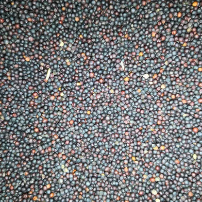 Eurital Eurital Raps / Rapssaat / Rapssamen schwarz 2,5 kg - Animals & Pet Supplies > Pet Supplies > Bird Supplies > Bird Food