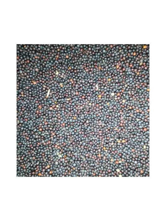 Eurital Eurital black rapeseed / rape seed 5 kg - Animals & Pet Supplies > Pet Supplies > Bird Supplies > Bird Food
