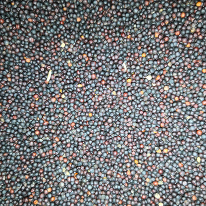 Eurital Raps / Rapssaat / Rapssamen schwarz 2,5 kg