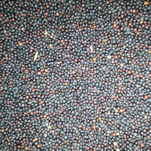 Eurital Raps / Rapssaat / Rapssamen schwarz 2,5 kg