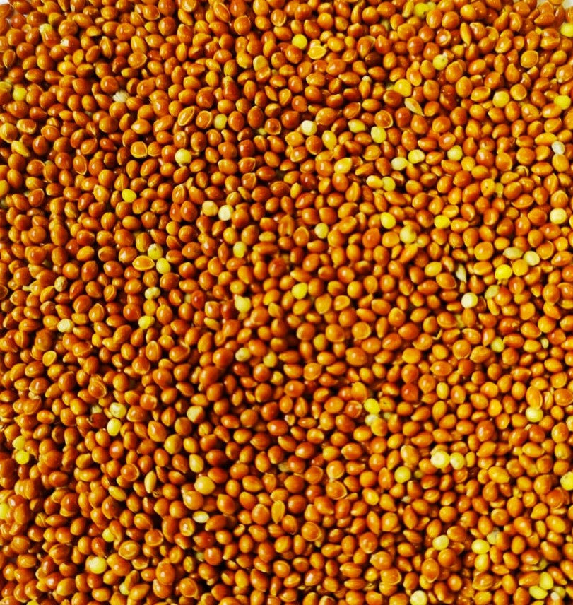 Eurital Hirse Rot 2,5 kg