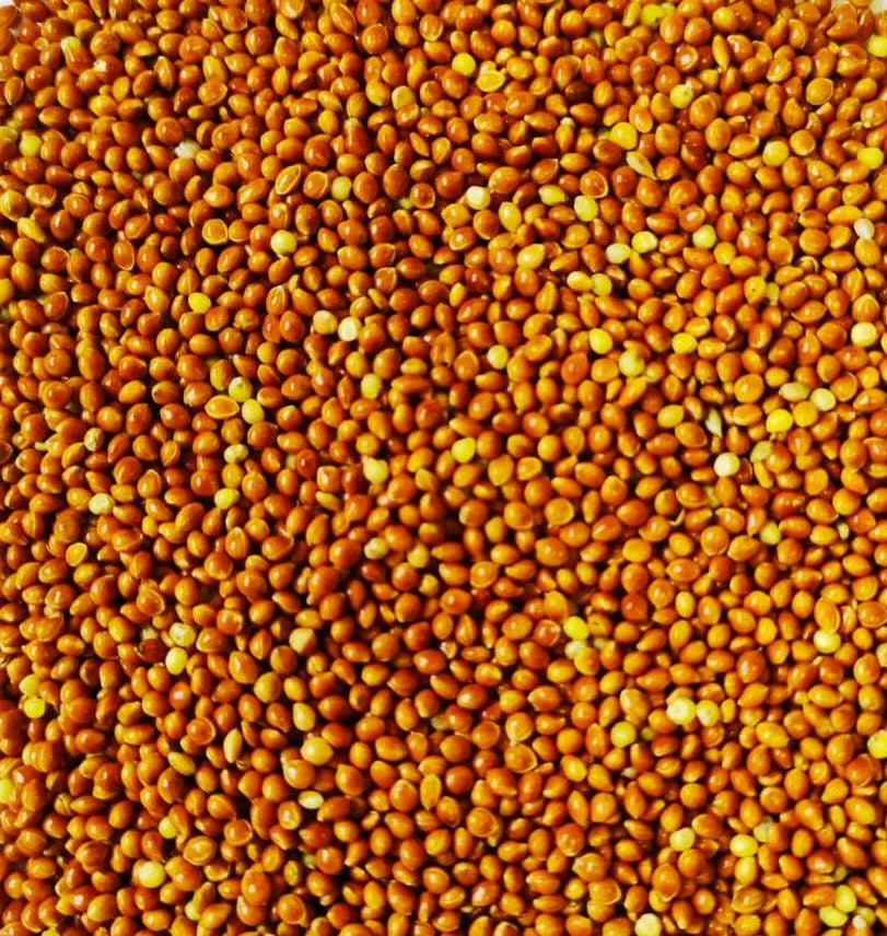 Eurital Eurital Hirse Rot 2,5 kg - Animals & Pet Supplies > Pet Supplies > Bird Supplies > Bird Food