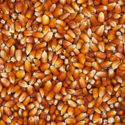 Eurital Roter Französischer Mais 2,5 kg