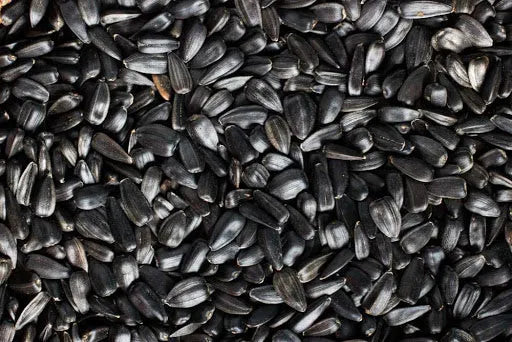 Eurital Eurital Black sunflower seeds 2,5kg energy source for birds - Animals & Pet Supplies > Pet Supplies > Bird Supplies > Bird Food