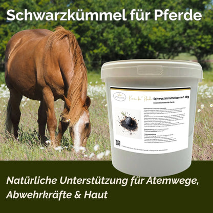 Schwarzkümmel Pferd 1kg