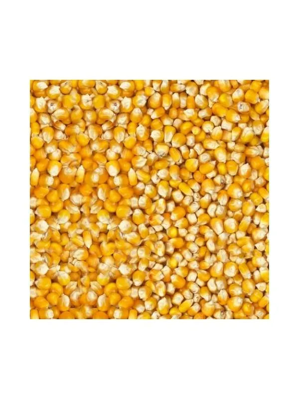 Eurital Eurital Small Yellow Crisp Mais 2,5 kg - Animals & Pet Supplies > Pet Supplies > Bird Supplies > Bird Food